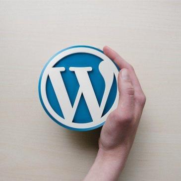 Wordpress Update Service