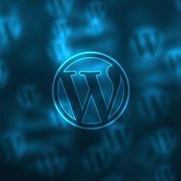 Wordpress Agentur in Berlin